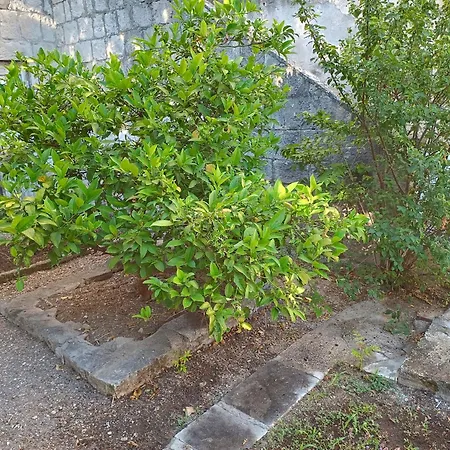 Rokova 1 Διαμέρισμα